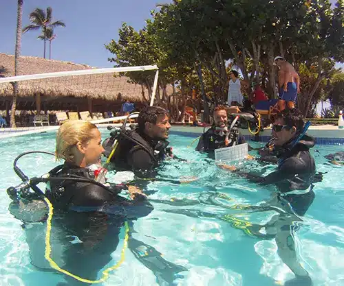 SDI-&-PADI-DIVEMASTER-Courses SDI & PADI DIVEMASTER Courses