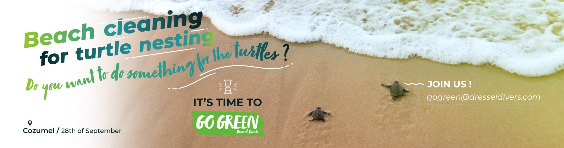 Beach Cleaning For Turtle Nesting, Next September 28th In Cozumel