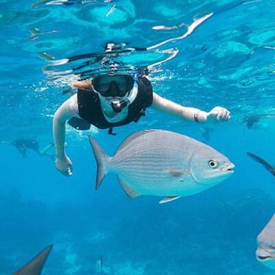 SNORKELING IN MEXICO VALLARTA - snorkel en México Vallarta