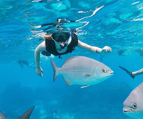 SNORKELING IN MEXICO VALLARTA - snorkel en México Vallarta