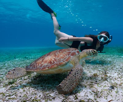 SNORKELING IN THE DOMINICAN REPUBLIC BAYAHIBE