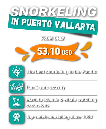 SNORKELING Puerto Vallarta Punta mita