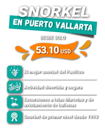SNORKELING Puerto Vallarta Punta mita ES