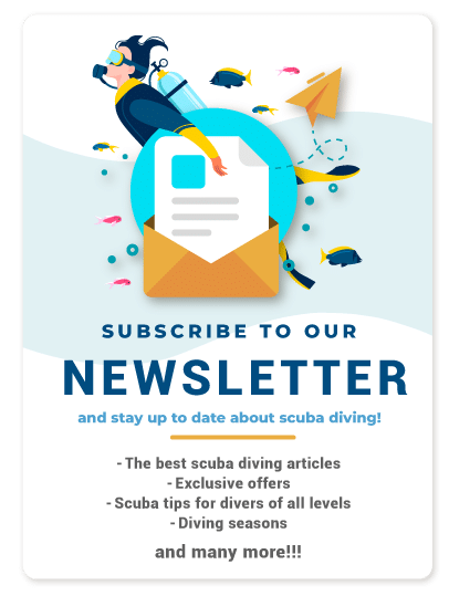 SUBSCRIBE TO OUR NEWSLETTER