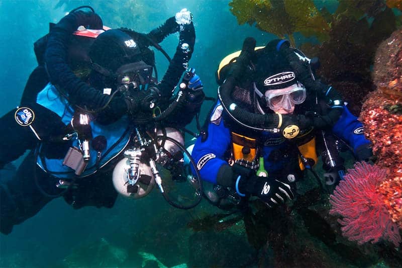 Scrubbing diving (4) buceo con depuración