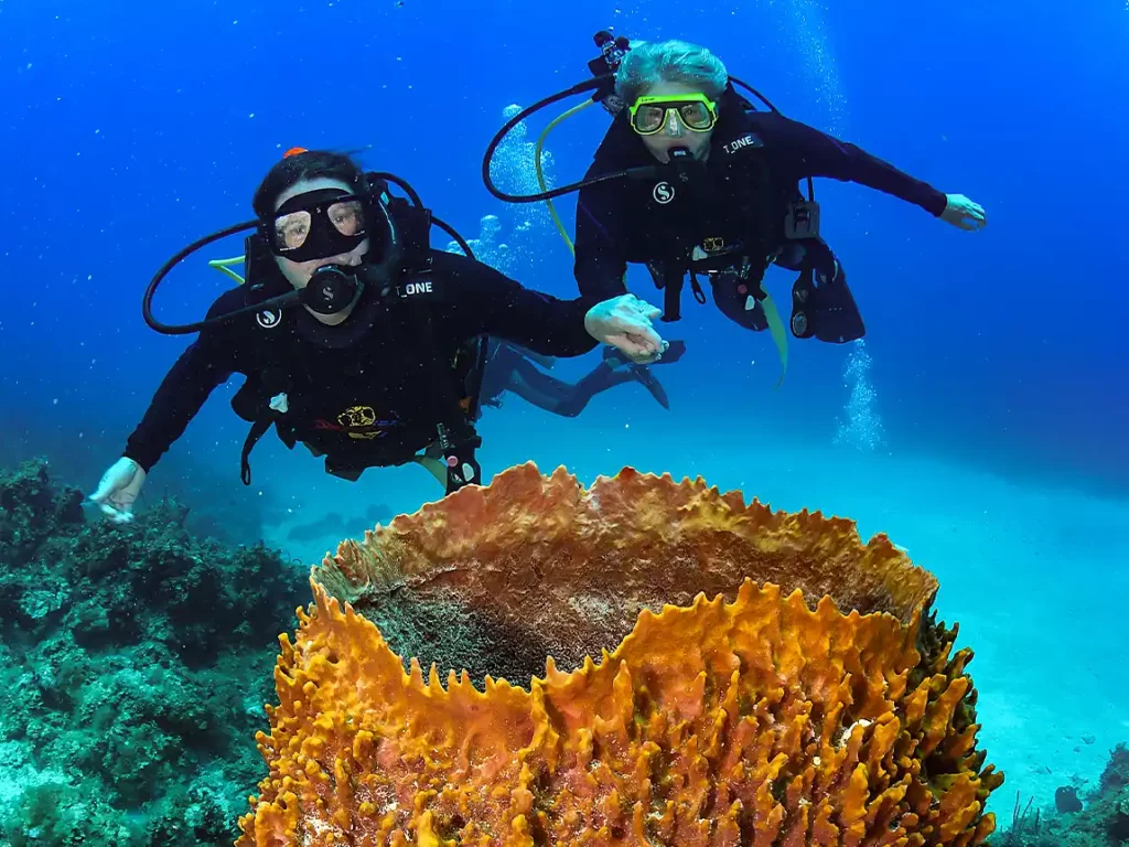 Scuba Dive 2 Scuba Dive 2