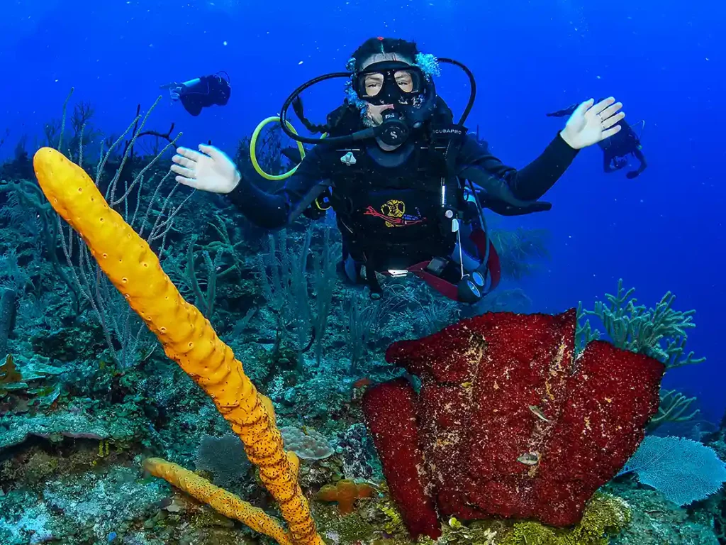 Scuba Dive 3 Scuba Dive 3