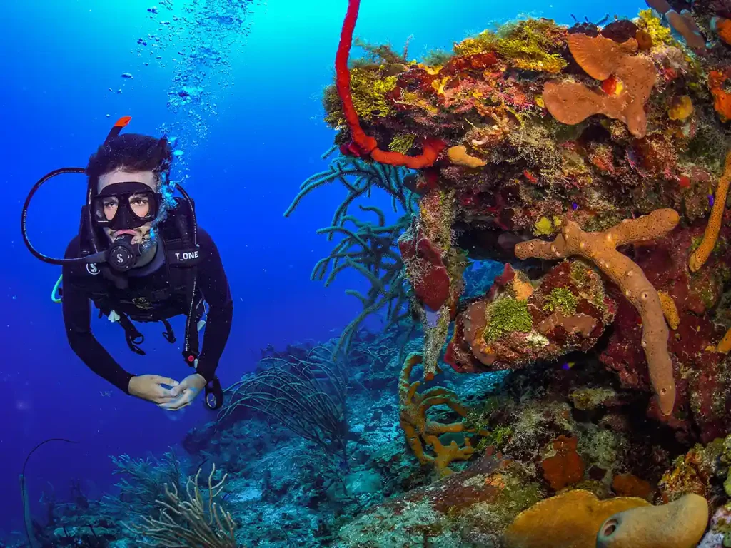 Scuba Dive 4 Scuba Dive 4
