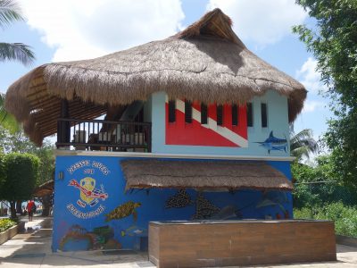 Scuba Diving Cozumel -Konstantin SGF