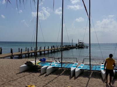 Scuba Diving Cozumel -jean-daniel hollande