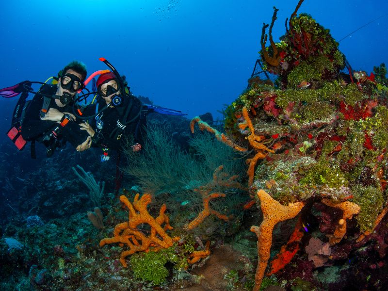 Scuba Diving Instruction (3) instrucciones de buceo