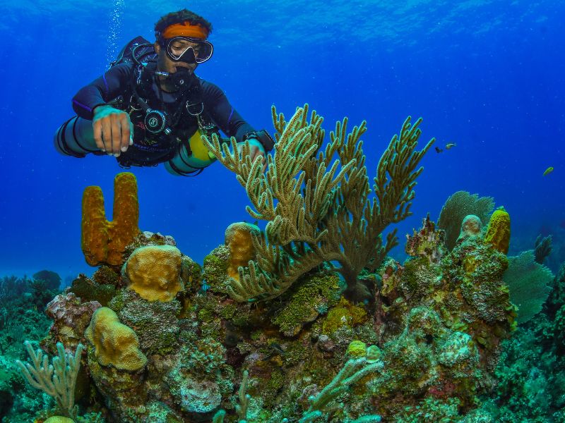 Scuba Diving Positions for Teaching Scuba (4) posiciones de buceo