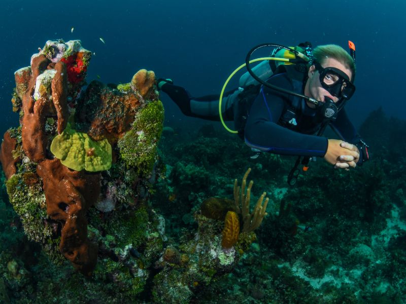 Scuba Diving Positions for Teaching Scuba (7) posiciones de buceo