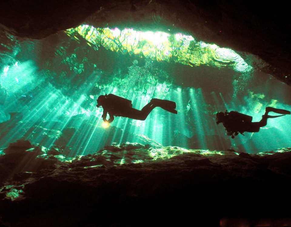 Scuba Diving Puerto Aventuras - Cenote