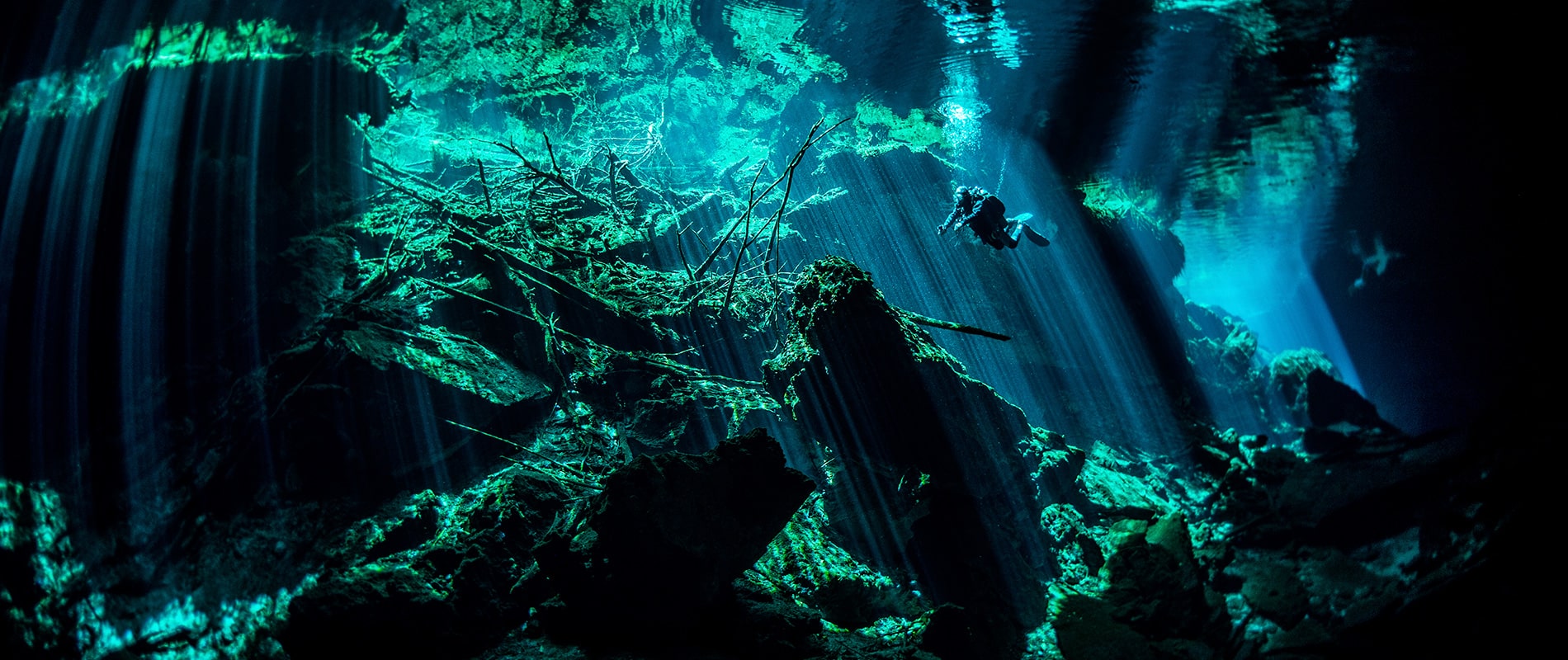 Immersioni in PUERTO AVENTURAS con Dressel Divers