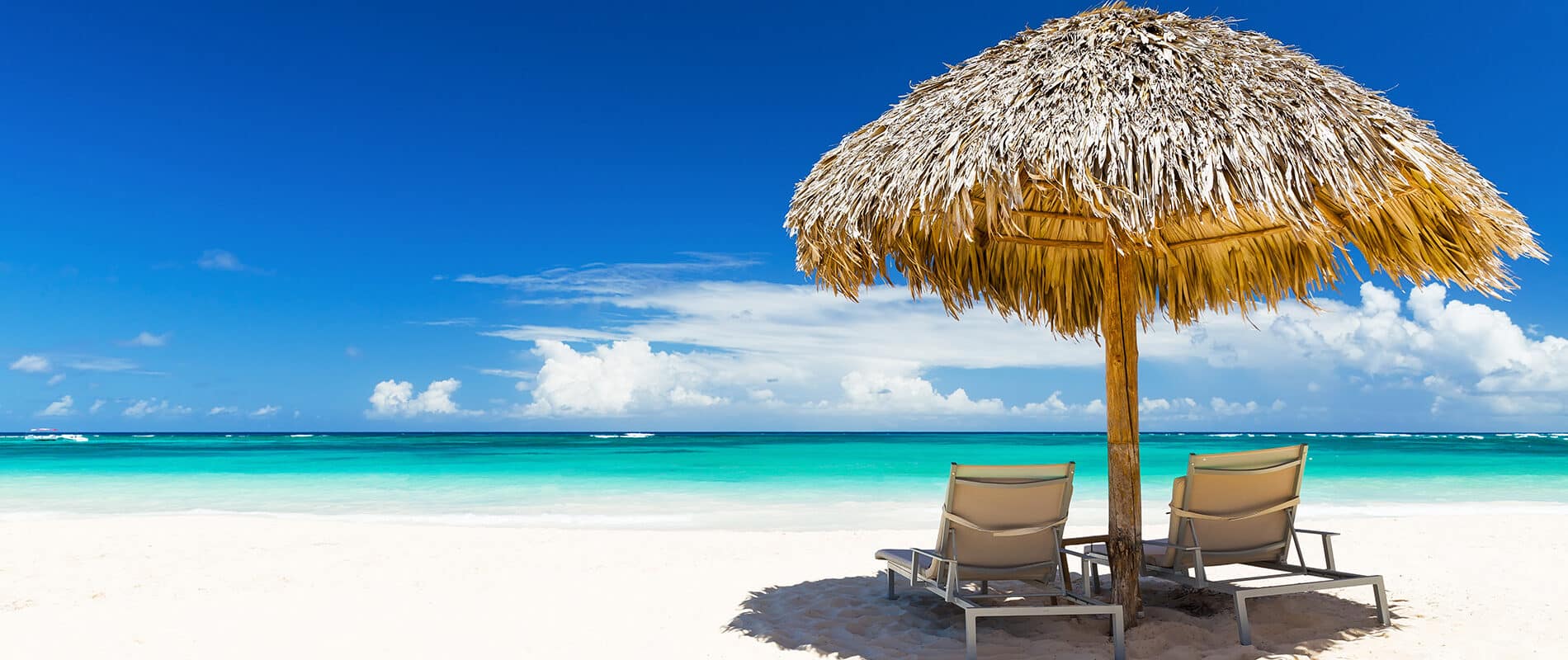 Scuba diving in PUNTA CANA with Dressel Divers