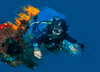 Scuba Diving in MEXICO with Dressel Divers - 20% Discount