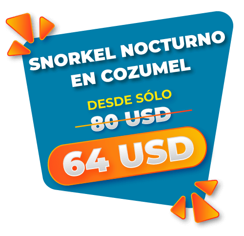 snorkel nocturno desde 64 us