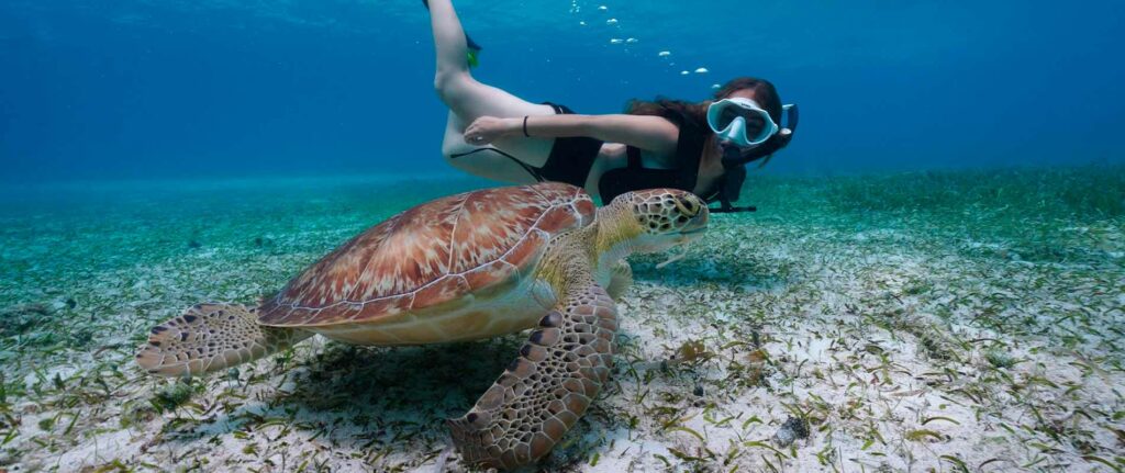 Snorkeling Bayahibe