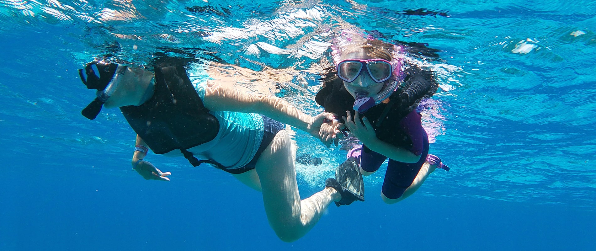 Snorkeling from CANCUN with Dressel Divers