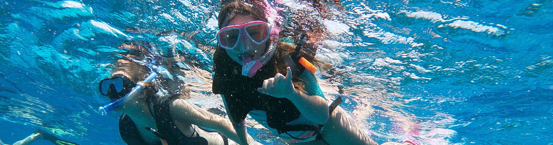 Schnorcheln in PLAYA DEL CARMEN mit Dressel Divers