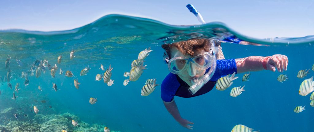 Snorkeling in PUERTO AVENTURAS