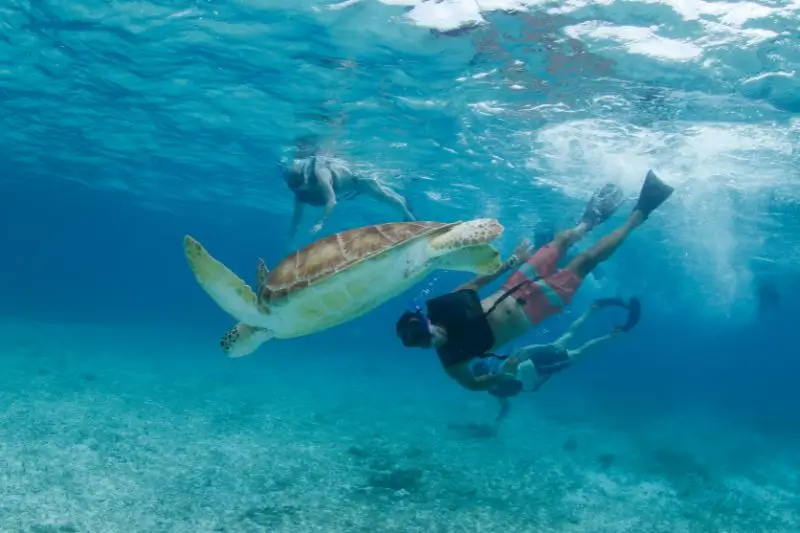 Snorkeling in Akumal (2)