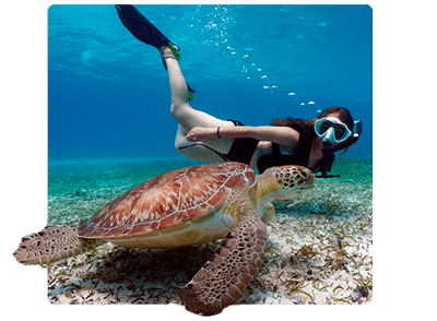 Snorkeling tours to cozumel