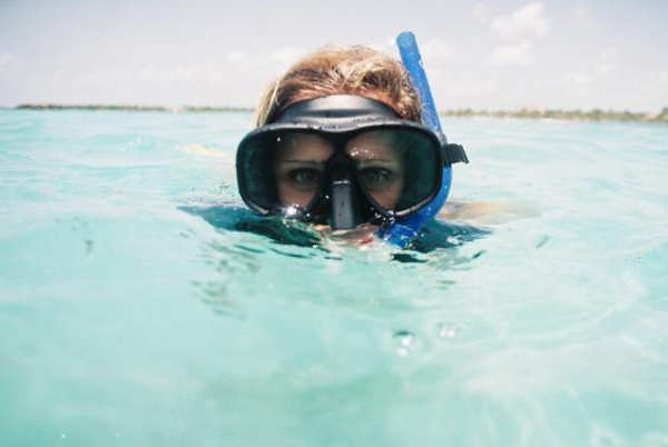 Snorkeling with Dressel Divers