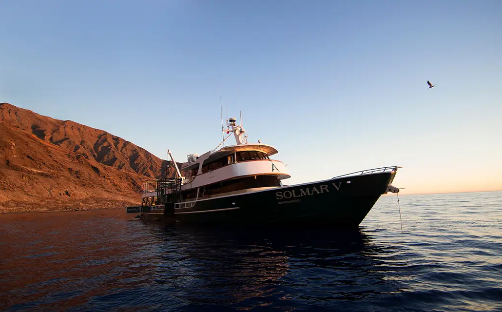Socorro-Mexico-Diving 2