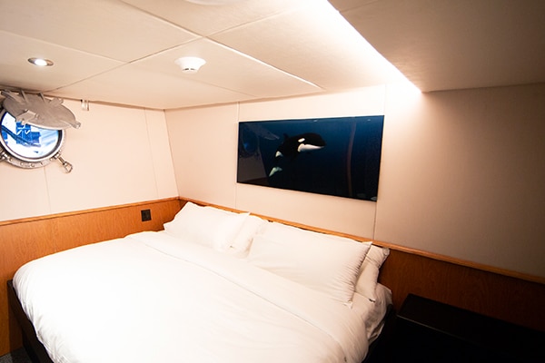 Socorro liveaboard diving - Luxury