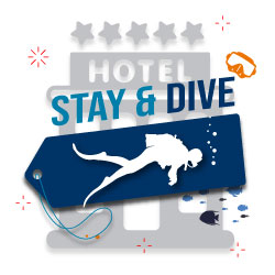 STAY AND DIVE