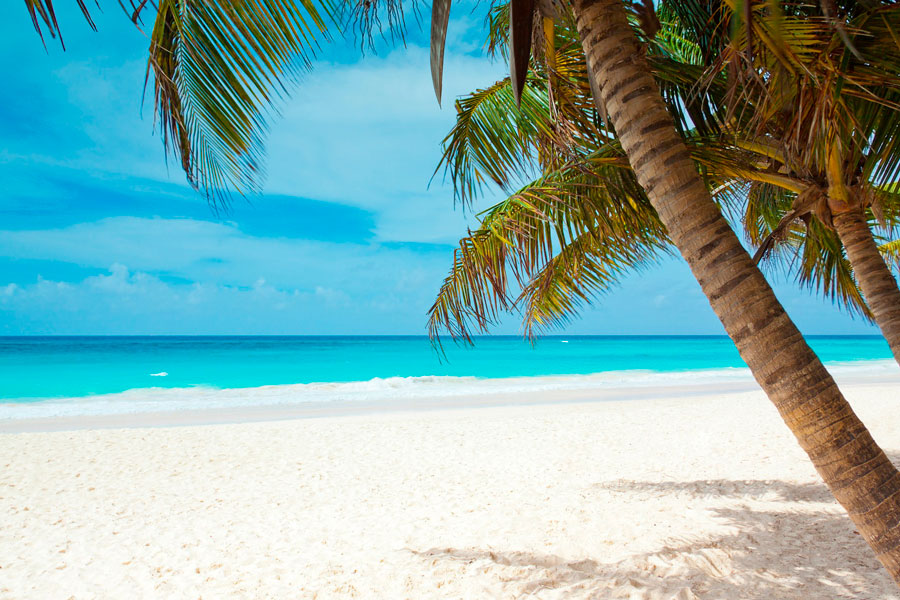 Top activities to Do in Punta Cana (15) mejores actividades que hacer en punta cana