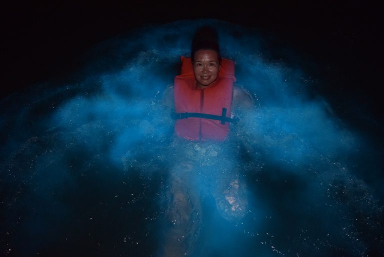 La Laguna Luminosa en Jamaica Dressel Divers