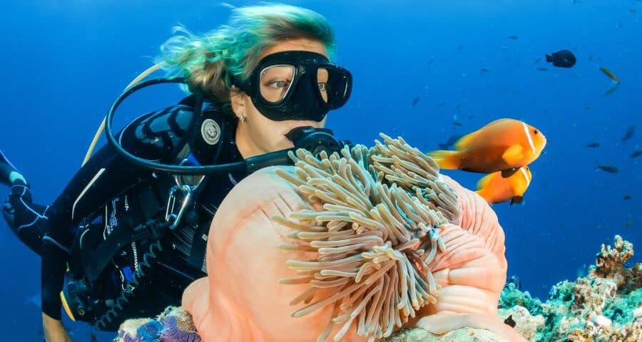 Underwater Naturalist (2) naturalista subacuático