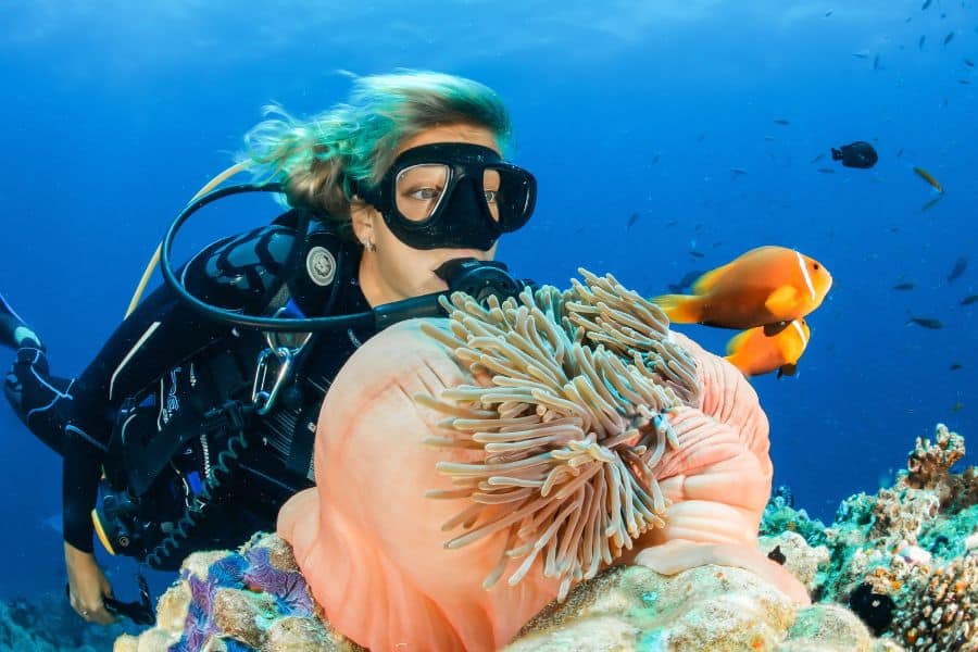 Underwater Naturalist (2) naturalista subacuático