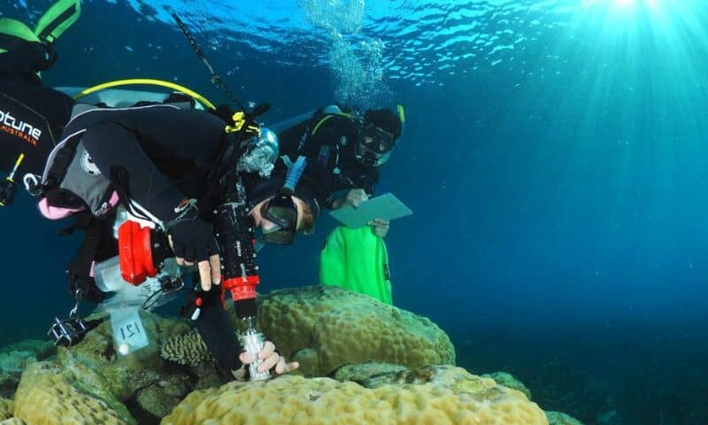 Underwater Recovery (3) Recuperación subacuática