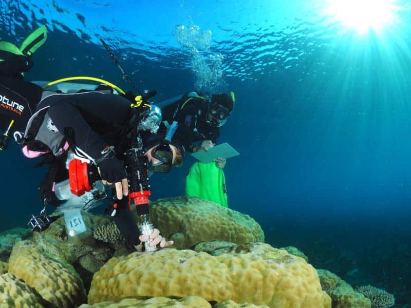 Underwater Recovery (3) Recuperación subacuática