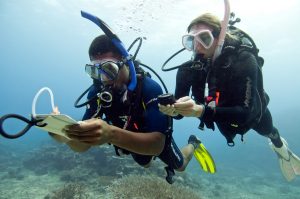 Underwater navigation tips - couple