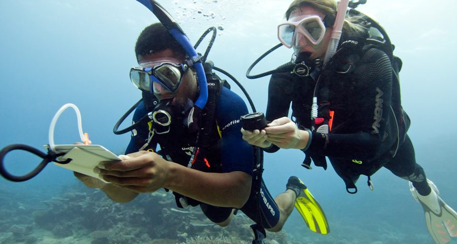 Underwater navigation tips - couple