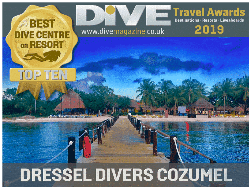 Dressel Divers Cozumel - Best Dive Center in Mexico