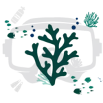 Variety-12-dive-spots_scuba_diving Variety-12-dive-spots_scuba_diving