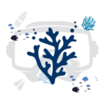 Variety-12-dive-spots_scuba_diving1 Variety-12-dive-spots_scuba_diving1