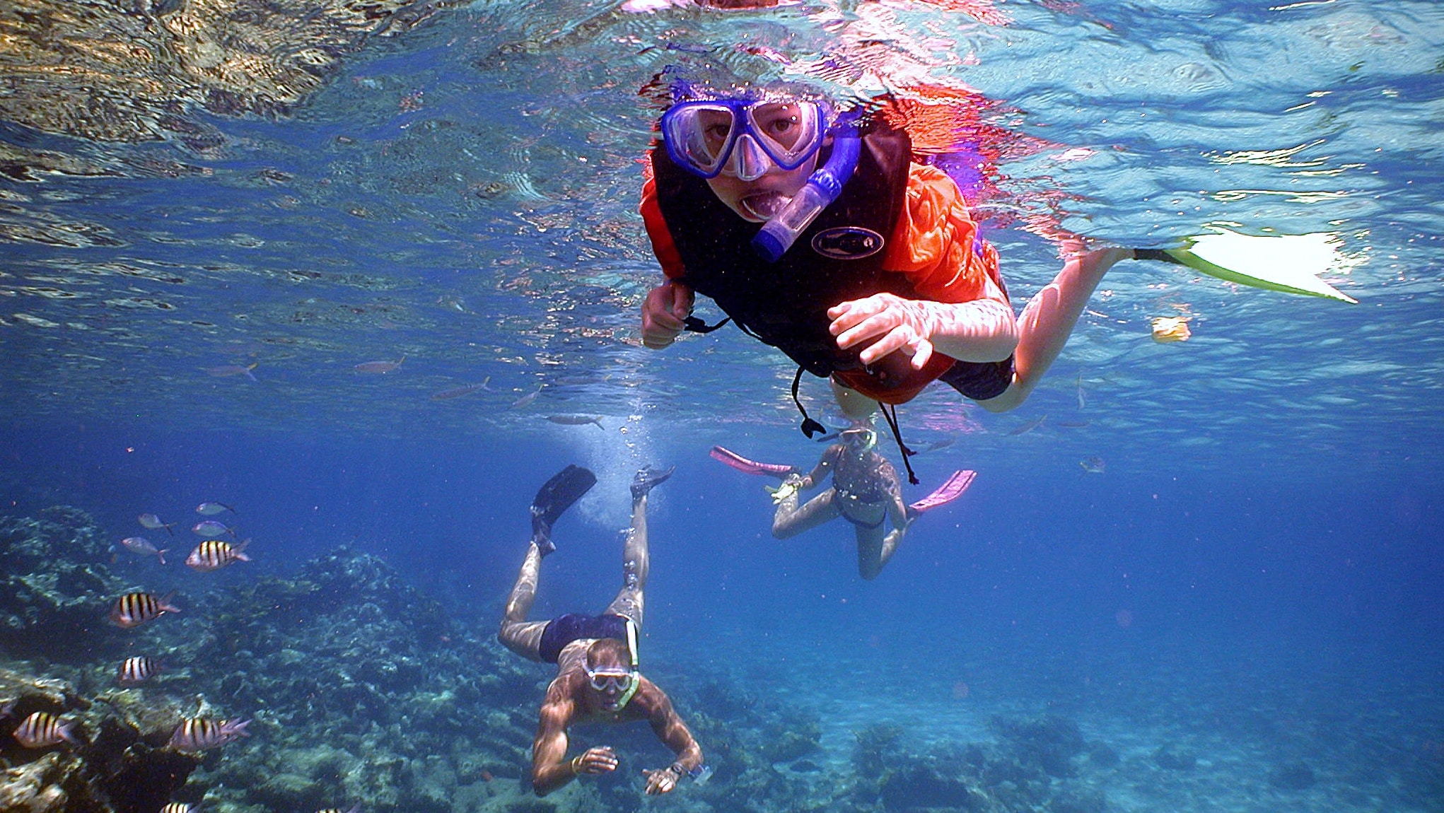 Water sports activities - Snorkel