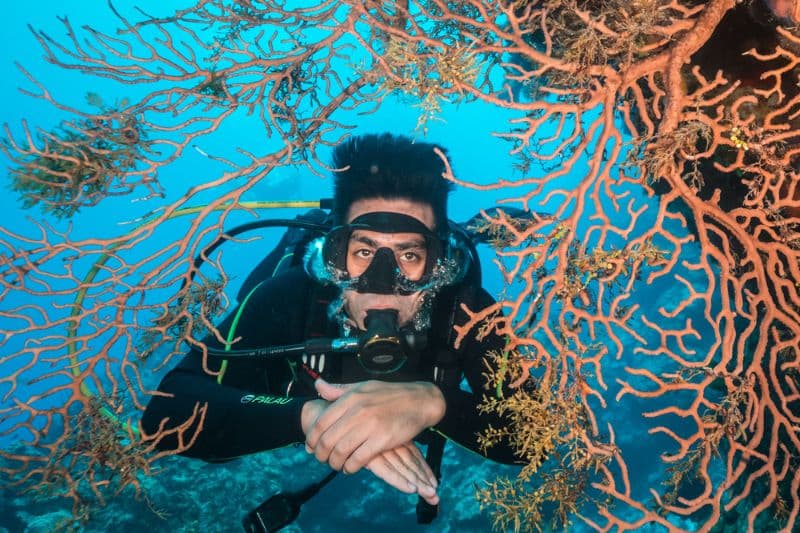 What Are the Bends in Scuba Diving (2) enfermedad del buceador