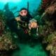 Women in Scuba Diving (2) mujeres en el buceo