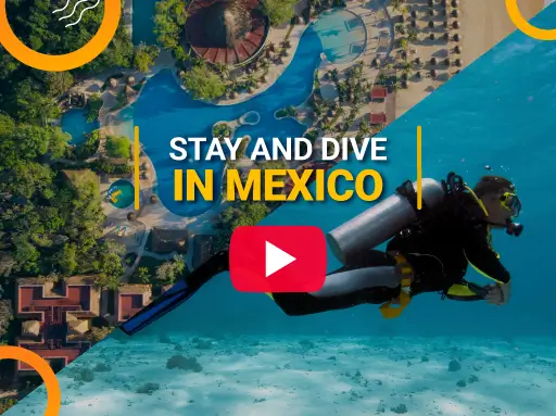 PADI Dive Resort in Mexico (Cozumel & Playa del Carmen) PADI Dive Resort in Mexico (Cozumel & Playa del Carmen)