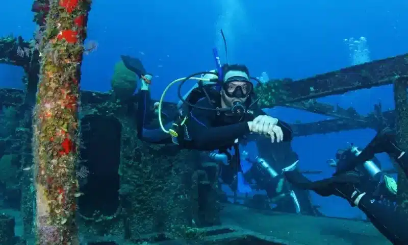artificial coral reef - Arrecifes de coral artificiales