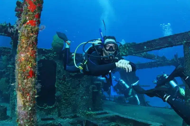 artificial coral reef - Arrecifes de coral artificiales