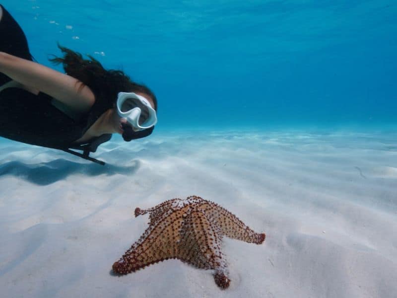 best beaches to snorkel in caribbean - mejores playas para snorkel en el Caribe
